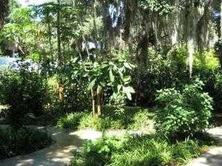 Secluded Cottage Rental with Private Dock on Idyllic Lake Josephine, Florida - Sebring - 6