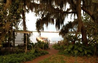 Secluded Cottage Rental with Private Dock on Idyllic Lake Josephine, Florida - Sebring - 2