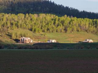 Charming Vacation Rental for Large Groups near Yellowstone National Park, Wyoming - Thayne - 5