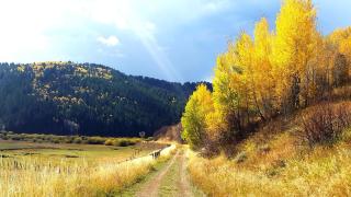 Charming Vacation Rental for Large Groups near Yellowstone National Park, Wyoming - Thayne - 4
