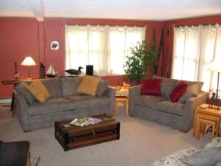 Private Cottage Surrounded by Mountains near Allegany State Park, New York - Great Valley - 0