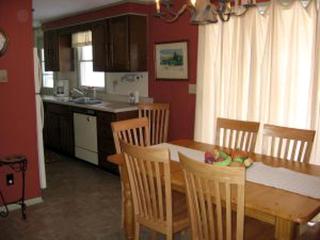 Private Cottage Surrounded by Mountains near Allegany State Park, New York - Great Valley - 4
