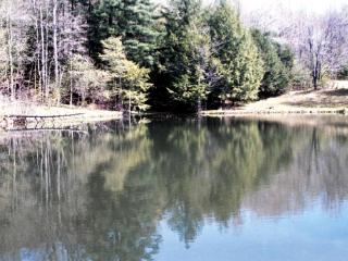 Private Cottage Surrounded by Mountains near Allegany State Park, New York - Great Valley - 1