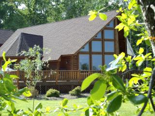 Stunning Lakeside Cabin Rental with Private Boat Dock in Louisa County, Virginia - Mineral - 0