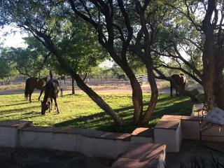 Peaceful Bed and Breakfast Suite near Madera Canyon in Amado, Arizona - Amado - 1