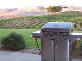 Spacious Luxury Getaway with Vineyard Views in Paso Robles, California - Creston - 9