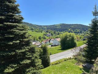 Elsa's Waldnest-Nähe Fichtelsee - Warmensteinach - 0