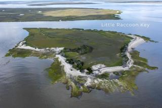 Enchanting Luxury Camping on a Private Island in the Golden Isles of Georgia - Jekyll Island - 0