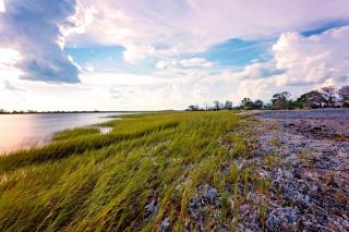 Enchanting Luxury Camping on a Private Island in the Golden Isles of Georgia - Jekyll Island - 6