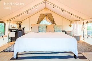 Enchanting Luxury Camping on a Private Island in the Golden Isles of Georgia - Jekyll Island - 3