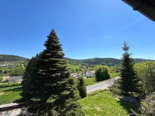 Elsa's Waldnest-Nähe Fichtelsee - Warmensteinach - 9