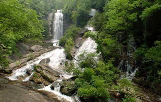 Pet-Friendly Accommodation for Two near World Equestrian Games, North Carolina - Mill Spring - 9