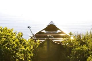 Pet-Friendly Accommodation for Two near World Equestrian Games, North Carolina - Mill Spring - 5