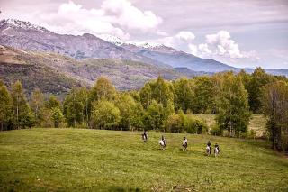 Pet-Friendly Accommodation for Two near World Equestrian Games, North Carolina - Mill Spring - 1