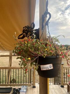 Cozy Safari Tent with Gorgeous Lake Views in Lone Oak, Texas - - 2