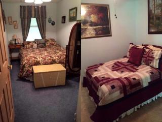 Secluded Log Cabin Apartment Nestled in Trees near Lake Lure, North Carolina - Lake Lure - 5