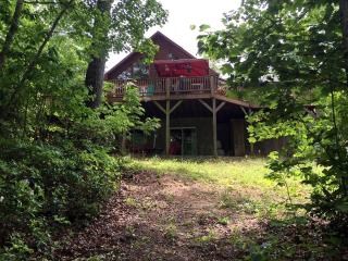 Secluded Log Cabin Apartment Nestled in Trees near Lake Lure, North Carolina - Lake Lure - 4