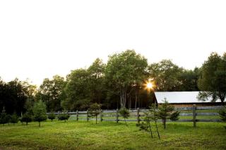 Romantic Cabin Rental Overlooking Otter Creek in the Adirondacks of Upstate New York - Glenfield - 9