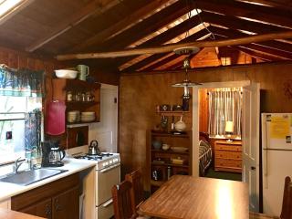 Family Vacation Rental with Resort Facilities on Squaw Lake in Wisconsin - Lac du Flambeau - 4