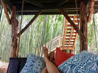 Cozy Alpaca Tree House Rental in the Bamboo Forest in Atlanta, Georgia - Atlanta - 3