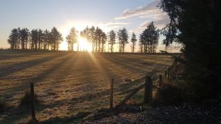 Cabin View - - 5