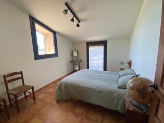 La falsa de Palacio - 1