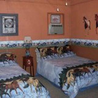 Fun Family Vacation near Caldwell Zoo in Canton, Texas - Canton - 2