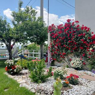 Casa vacanze Arcobaleno - Santa Maria Imbaro - 3