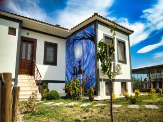 Tinos Otel & Bağ Evi 12 Yaş Üstü - 6