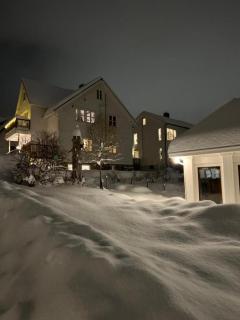 Cozy Northern Light Central Apartment - 0