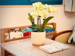 定安厝 Ding'an Village 位于百年历史建筑群 近西湖 河坊街 南宋御街 - 1