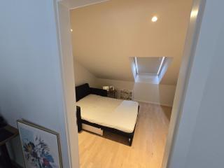 Luxurious family apartment - Reikiavik - 7