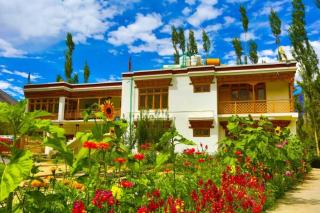 Ldumra Oasis - Hundar - 2