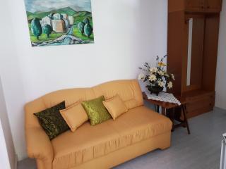 RENATA Mare Apartments - Rovigno (Rovinj) - 7