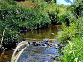 Blue Mountain Farm Lodge, Farm & Dam House - 8