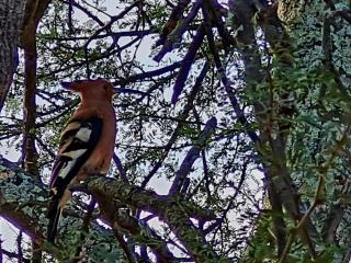 Blue Mountain Farm Lodge, Farm & Dam House - Swellendam - 5