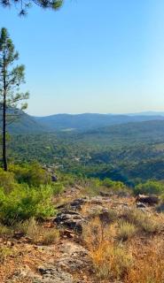Frejus, quiet villa, beautiful terrace and wifi - Fréjus - 7