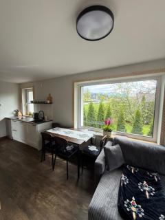 Piękne apartamenty z widokiem na góry , Sauna, Darmowy parking , 5km od Zakopanego - Biały Dunajec - 6
