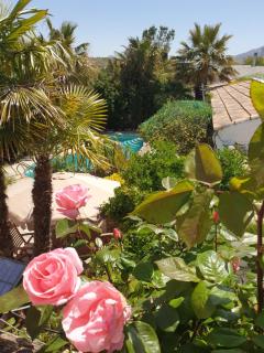 Cortijo Paraiso - Cúllar de Baza - 9