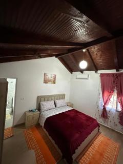 Villa Zefi Rrencc - Shkodra - 7