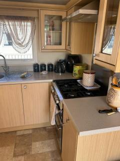 Pg50 PALM GROVE GOLDEN PALM CHAPEL ST LEONARD - Chapel Saint Leonards - 4