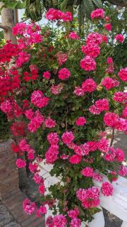 La Cañota 2-Floors King Rooms Adults Only - 7