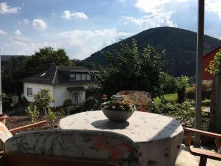 Three-castle-view in a new appartment - 7