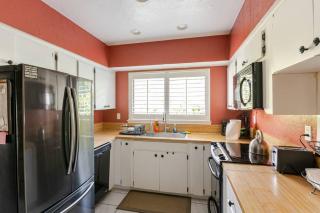 Canterbury Oasis - 2