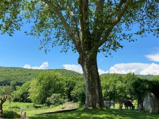 Gîte la vie est belle - Le Poët-Laval - 8