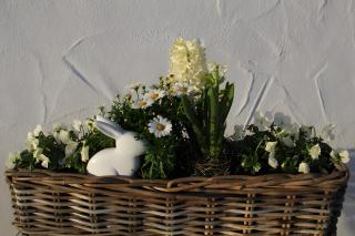 Lettwieshof Birgit und Peter Heine - - 5