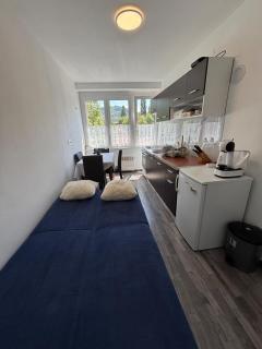 AM Apartment Sarajevo - Sarajevo - 8