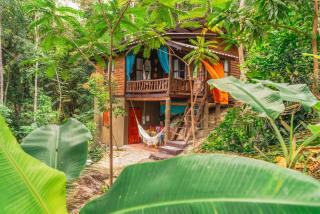 Jungle Treehouse w Ocean Sunset Views Fast WiFi - 0