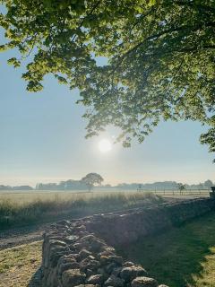 Modern Apartment On Historic Horse Farm - 8