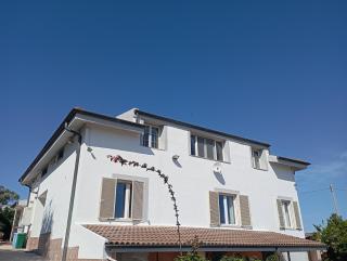 All ombra del carrubo - 0